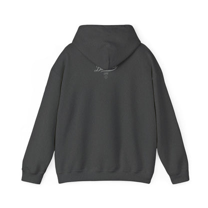 Play Like A Kid Hoodie