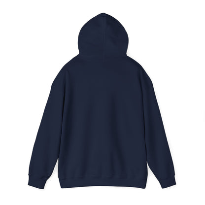 The Baseball Life Hoodie_Carolina Blue Print