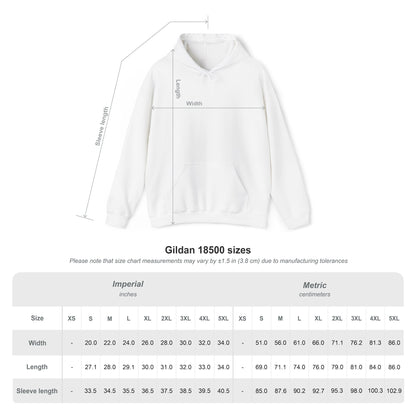 Play Ball Baseball Hoodie